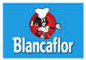 Blancaflor